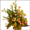 Happy Blows - Click here to View more details about this Product
